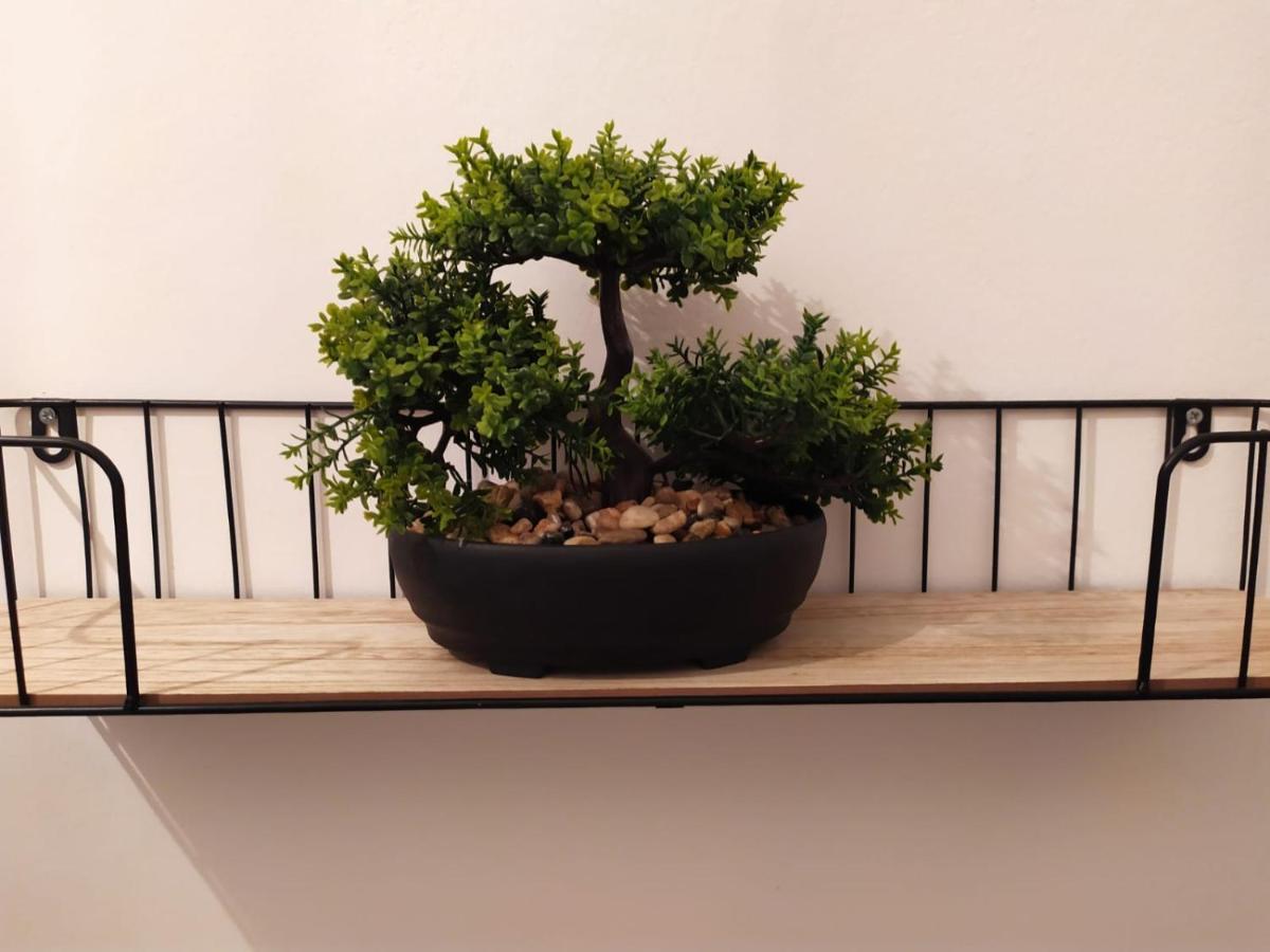 Cozy Apartments Danica Novalja - Ground Floor 외부 사진