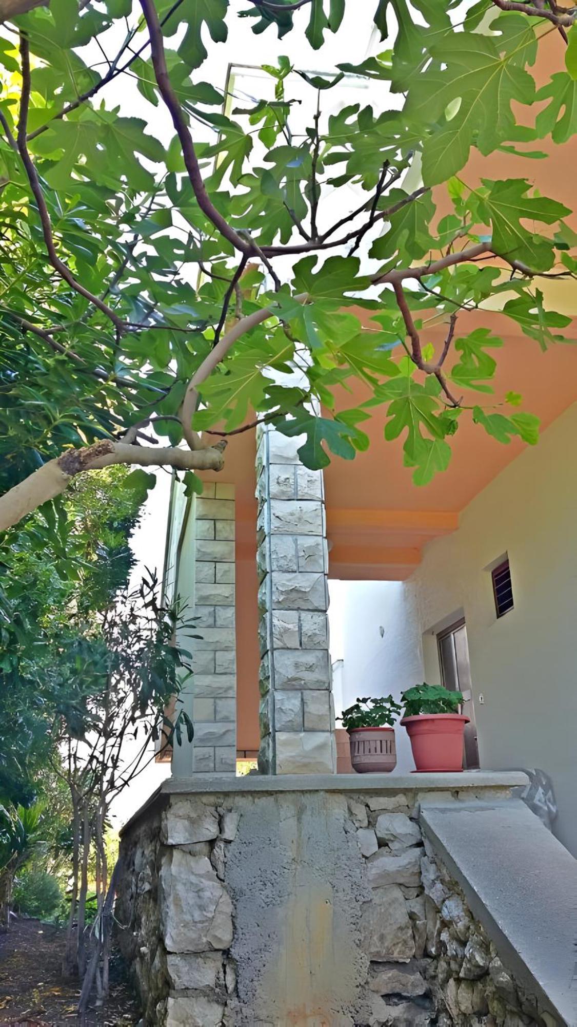 Cozy Apartments Danica Novalja - Ground Floor 외부 사진