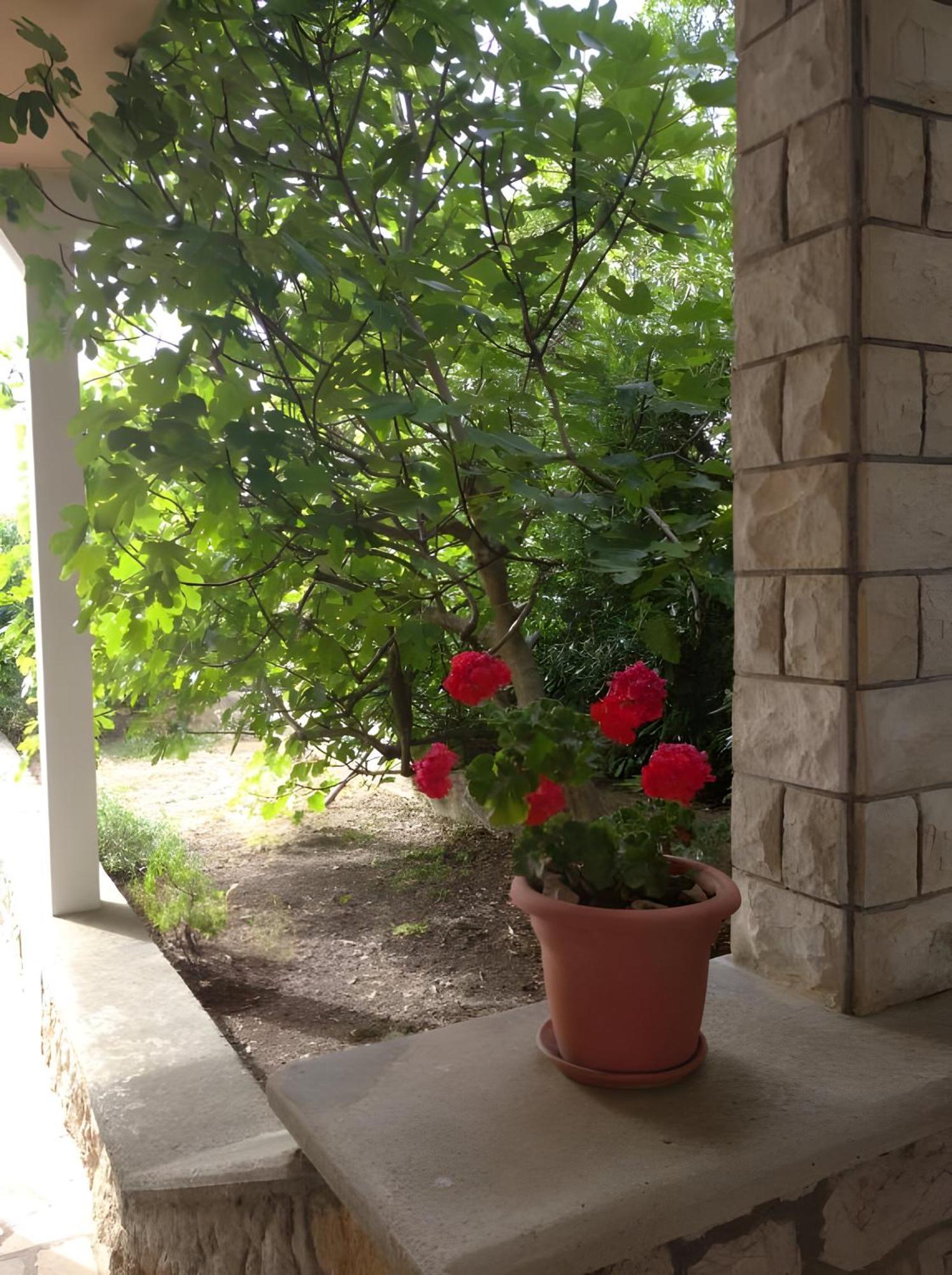 Cozy Apartments Danica Novalja - Ground Floor 외부 사진